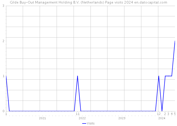 Gilde Buy-Out Management Holding B.V. (Netherlands) Page visits 2024 