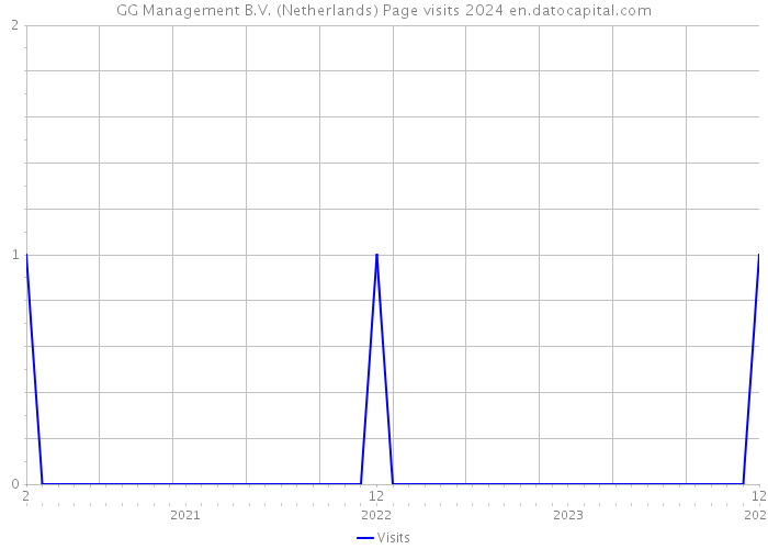 GG Management B.V. (Netherlands) Page visits 2024 