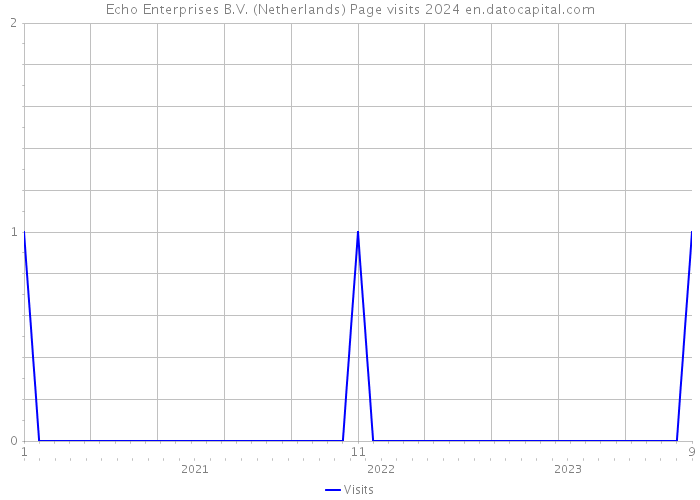 Echo Enterprises B.V. (Netherlands) Page visits 2024 