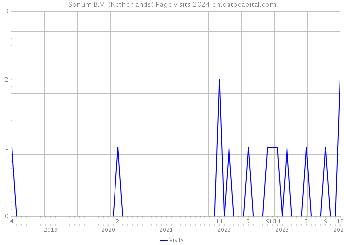 Sonum B.V. (Netherlands) Page visits 2024 