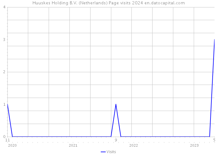 Huuskes Holding B.V. (Netherlands) Page visits 2024 