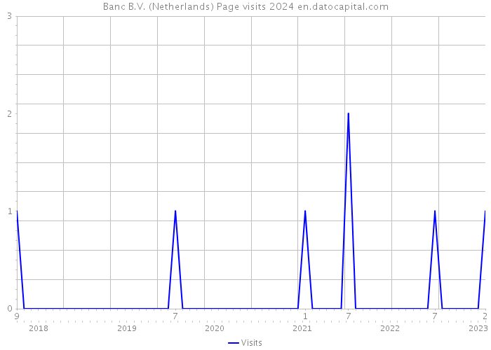 Banc B.V. (Netherlands) Page visits 2024 