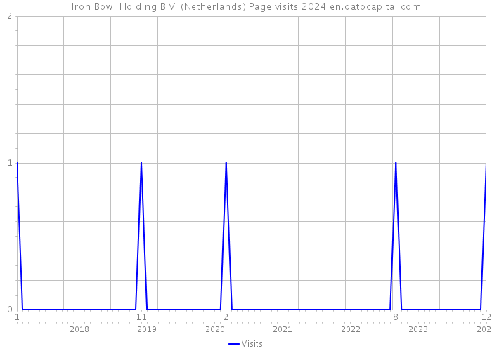 Iron Bowl Holding B.V. (Netherlands) Page visits 2024 
