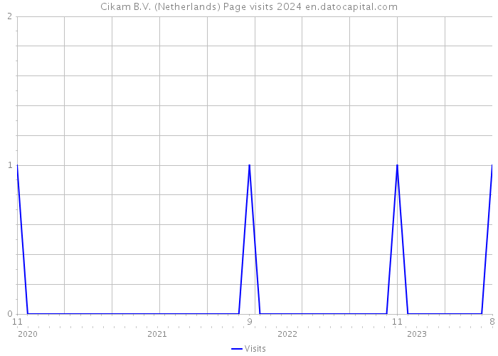 Cikam B.V. (Netherlands) Page visits 2024 