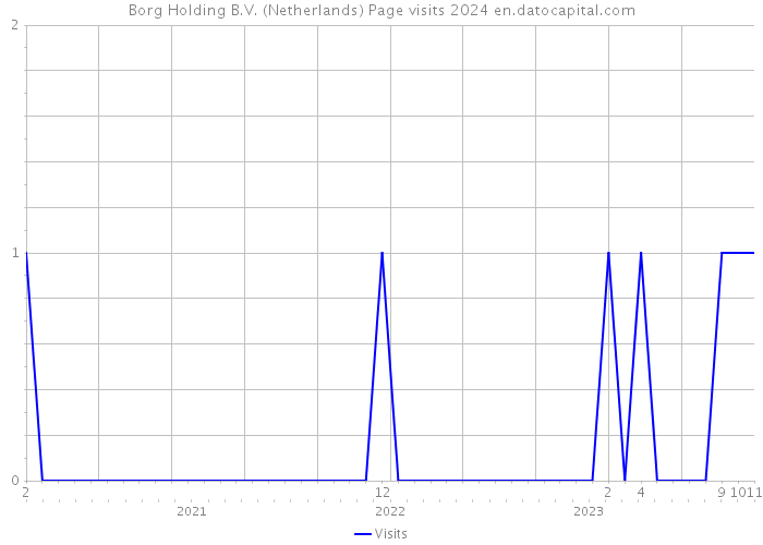 Borg Holding B.V. (Netherlands) Page visits 2024 