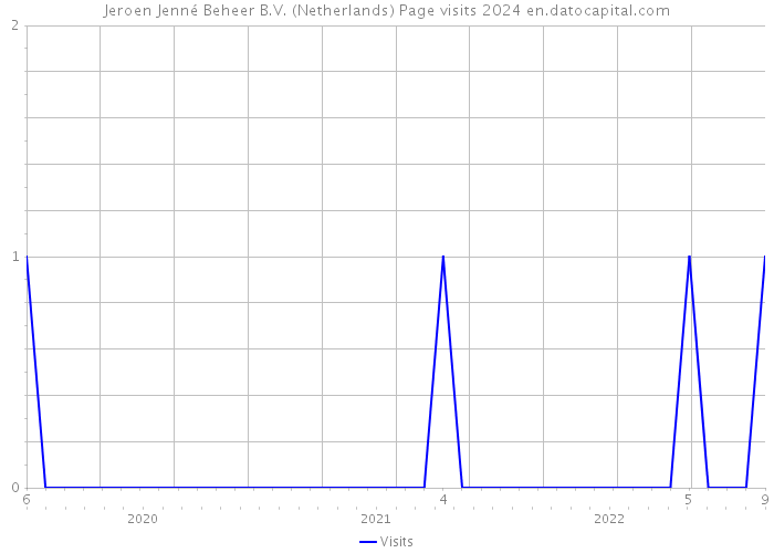 Jeroen Jenné Beheer B.V. (Netherlands) Page visits 2024 