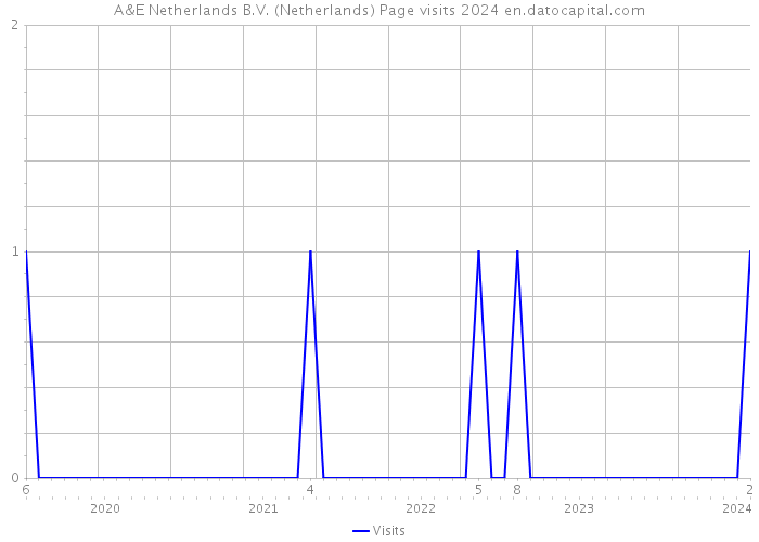 A&E Netherlands B.V. (Netherlands) Page visits 2024 