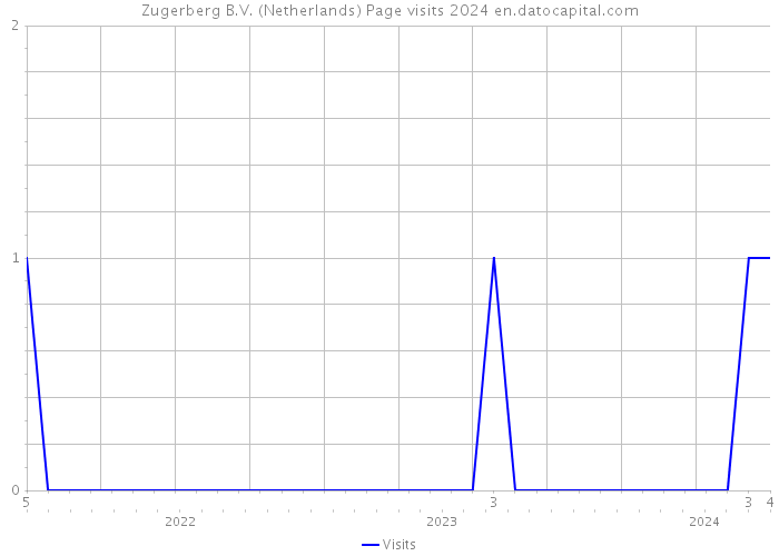 Zugerberg B.V. (Netherlands) Page visits 2024 