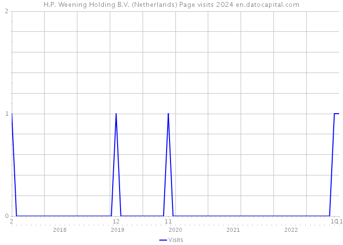 H.P. Weening Holding B.V. (Netherlands) Page visits 2024 