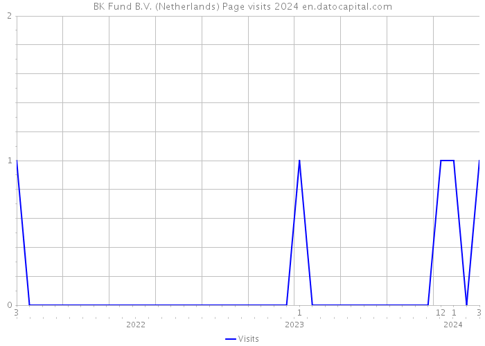 BK Fund B.V. (Netherlands) Page visits 2024 