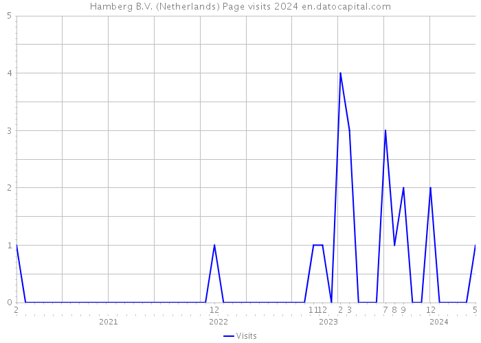 Hamberg B.V. (Netherlands) Page visits 2024 