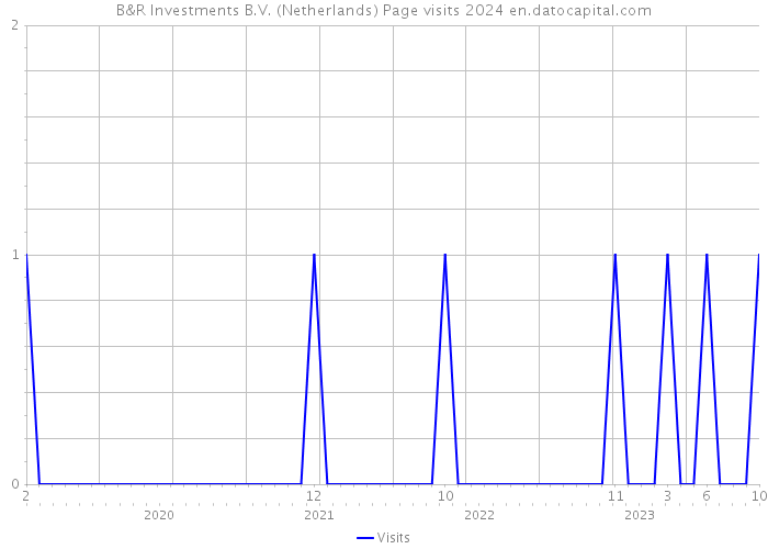 B&R Investments B.V. (Netherlands) Page visits 2024 