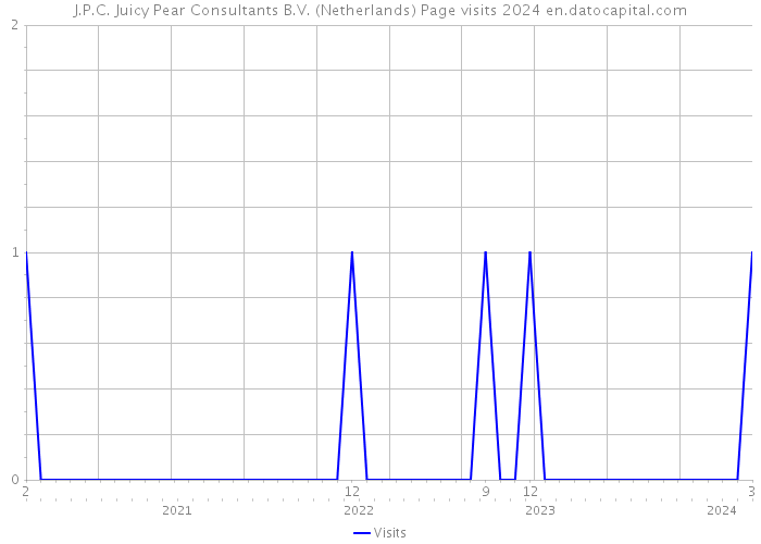 J.P.C. Juicy Pear Consultants B.V. (Netherlands) Page visits 2024 