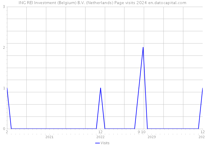 ING REI Investment (Belgium) B.V. (Netherlands) Page visits 2024 