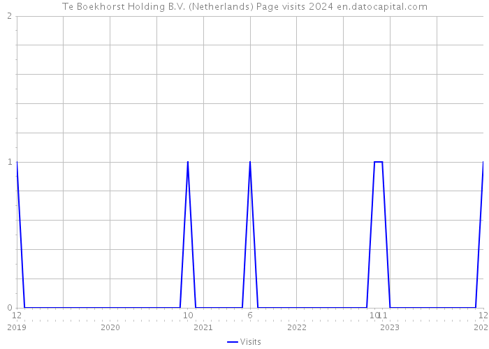 Te Boekhorst Holding B.V. (Netherlands) Page visits 2024 