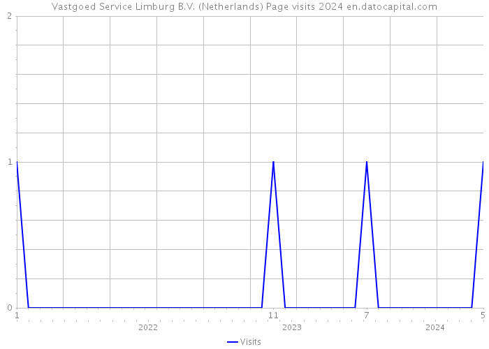 Vastgoed Service Limburg B.V. (Netherlands) Page visits 2024 