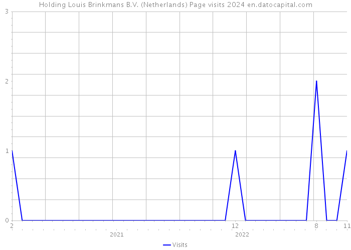 Holding Louis Brinkmans B.V. (Netherlands) Page visits 2024 