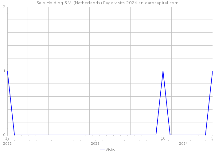 Salo Holding B.V. (Netherlands) Page visits 2024 