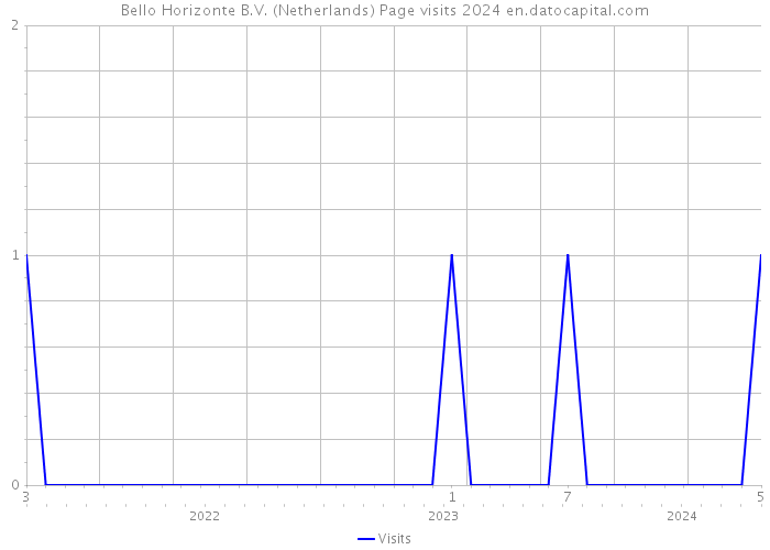 Bello Horizonte B.V. (Netherlands) Page visits 2024 