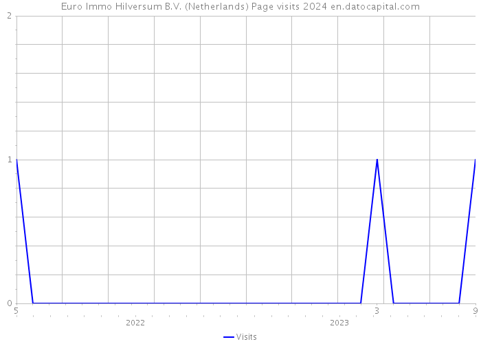 Euro Immo Hilversum B.V. (Netherlands) Page visits 2024 