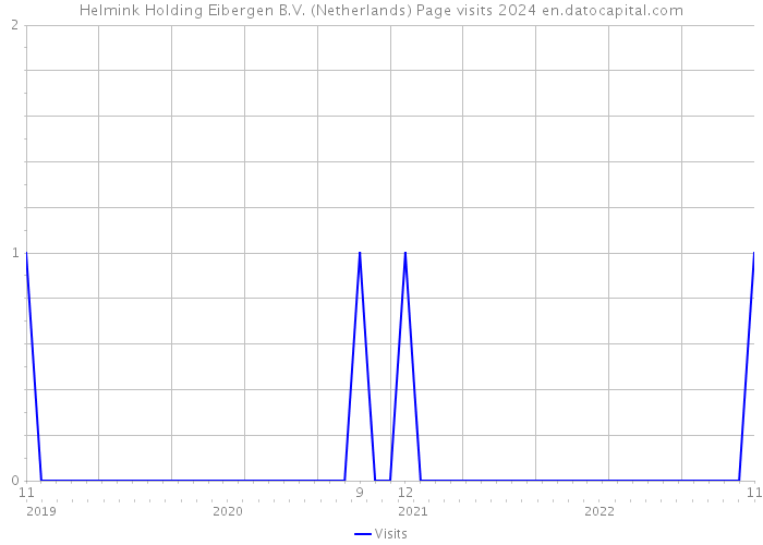 Helmink Holding Eibergen B.V. (Netherlands) Page visits 2024 