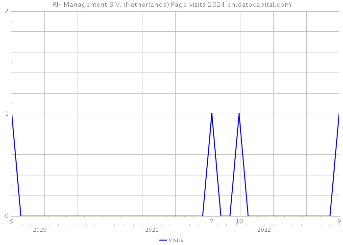 RH Management B.V. (Netherlands) Page visits 2024 