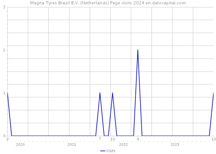 Magna Tyres Brazil B.V. (Netherlands) Page visits 2024 