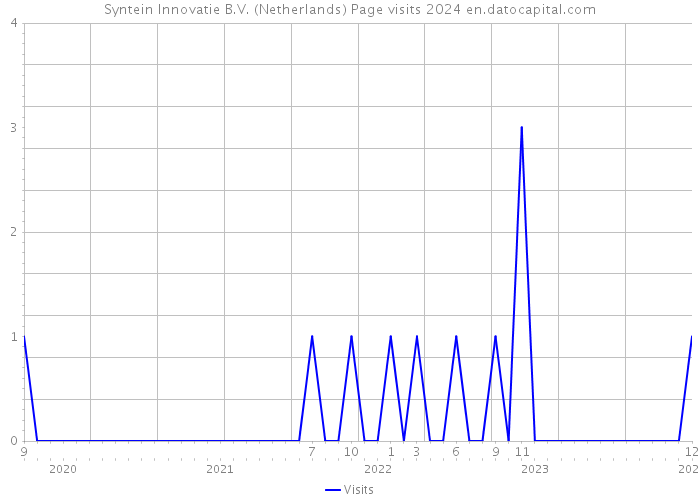 Syntein Innovatie B.V. (Netherlands) Page visits 2024 