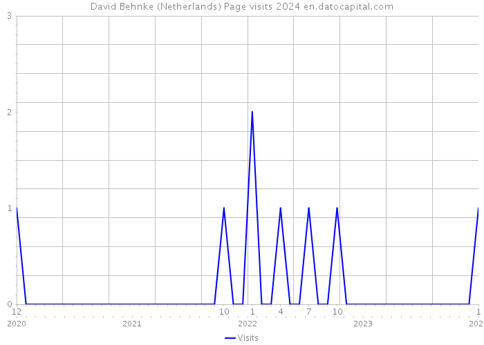 David Behnke (Netherlands) Page visits 2024 