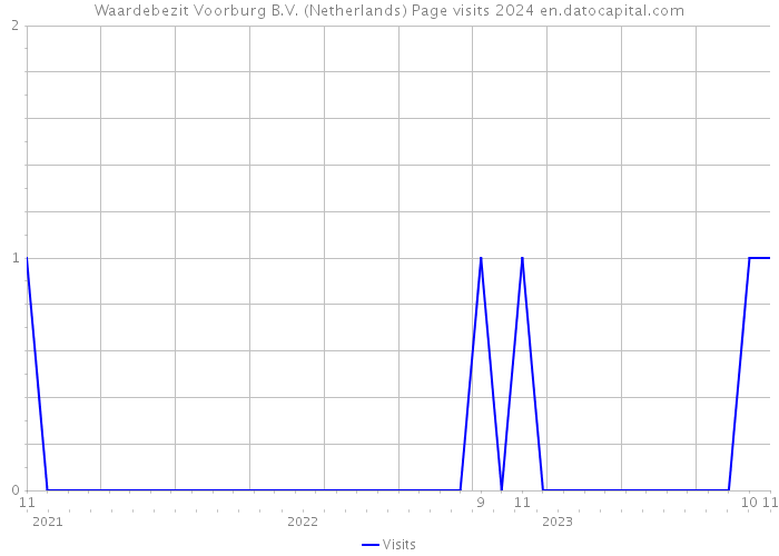 Waardebezit Voorburg B.V. (Netherlands) Page visits 2024 