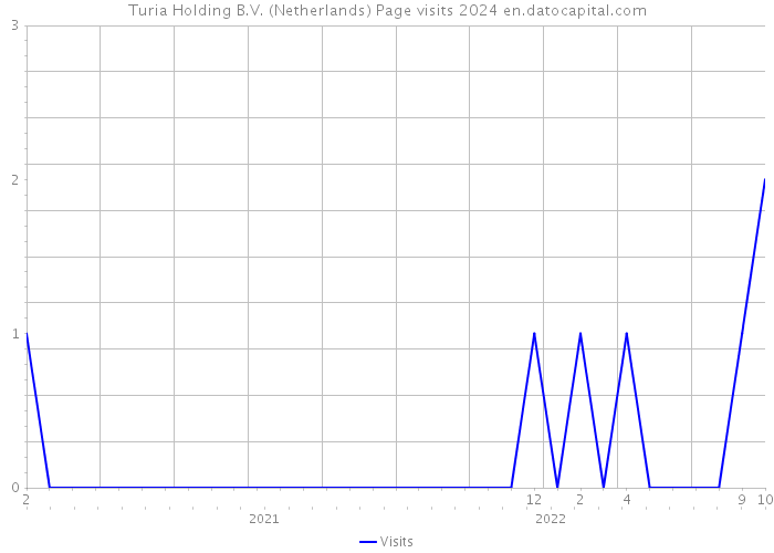 Turia Holding B.V. (Netherlands) Page visits 2024 