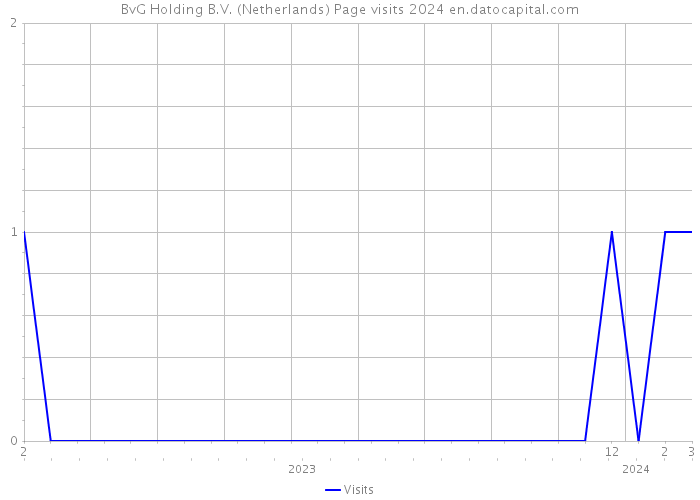 BvG Holding B.V. (Netherlands) Page visits 2024 