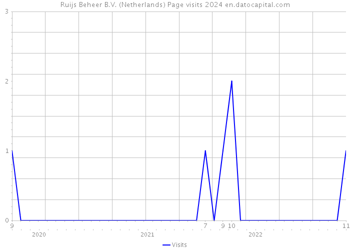 Ruijs Beheer B.V. (Netherlands) Page visits 2024 