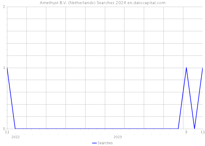 Amethyst B.V. (Netherlands) Searches 2024 