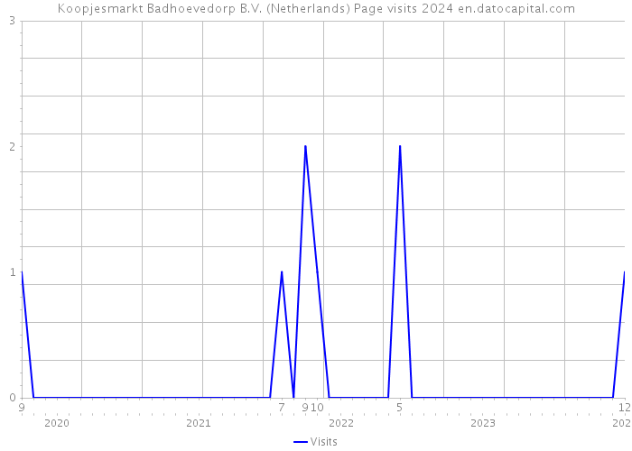 Koopjesmarkt Badhoevedorp B.V. (Netherlands) Page visits 2024 