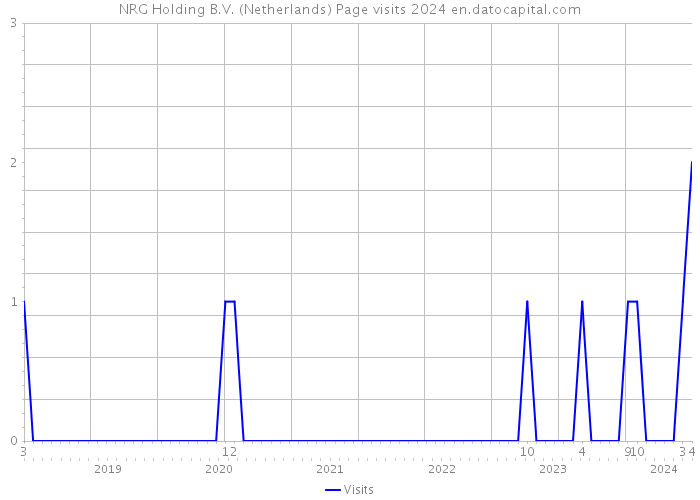 NRG Holding B.V. (Netherlands) Page visits 2024 