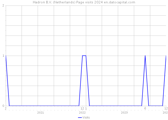 Hadron B.V. (Netherlands) Page visits 2024 