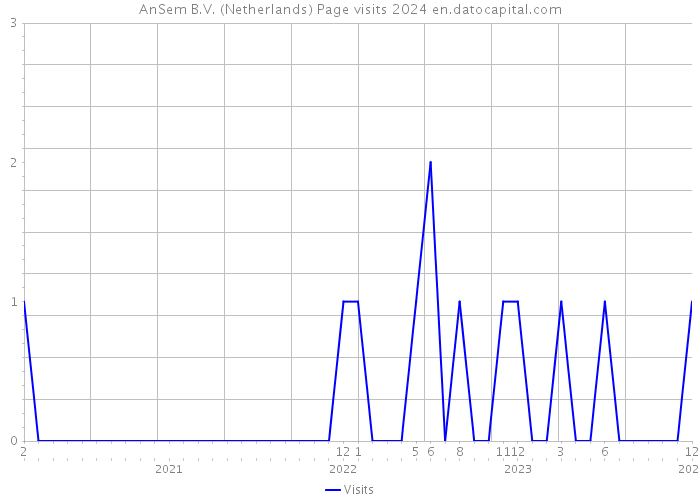 AnSem B.V. (Netherlands) Page visits 2024 
