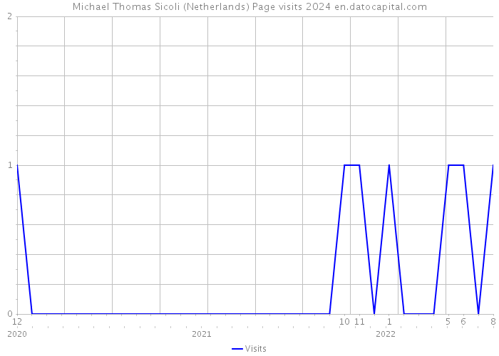 Michael Thomas Sicoli (Netherlands) Page visits 2024 