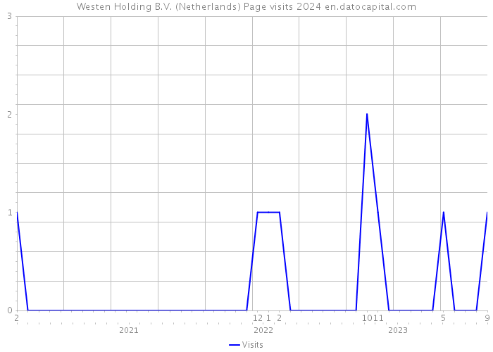 Westen Holding B.V. (Netherlands) Page visits 2024 