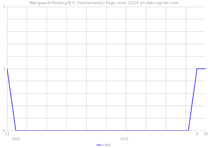 Wijngaard Holding B.V. (Netherlands) Page visits 2024 