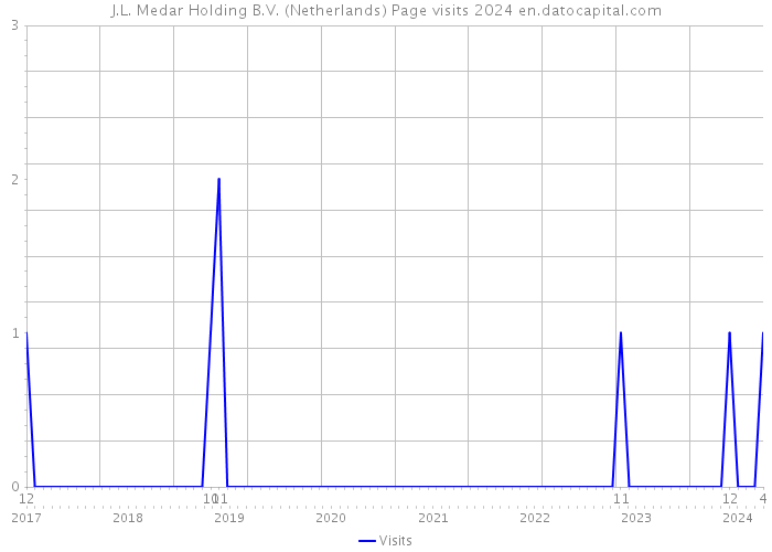J.L. Medar Holding B.V. (Netherlands) Page visits 2024 