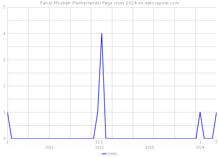 Faïcel Mosbah (Netherlands) Page visits 2024 