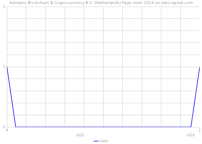 Adriaens Blockchain & Cryptocurrency B.V. (Netherlands) Page visits 2024 