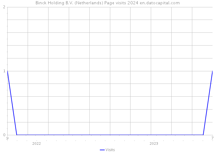 Binck Holding B.V. (Netherlands) Page visits 2024 