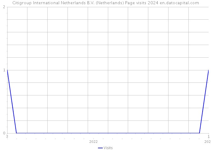 Citigroup International Netherlands B.V. (Netherlands) Page visits 2024 