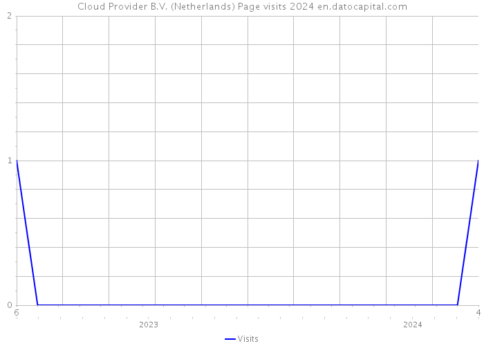 Cloud Provider B.V. (Netherlands) Page visits 2024 