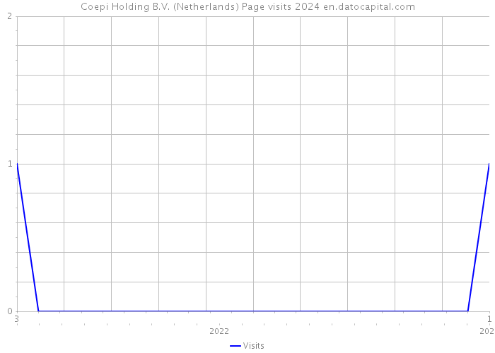 Coepi Holding B.V. (Netherlands) Page visits 2024 