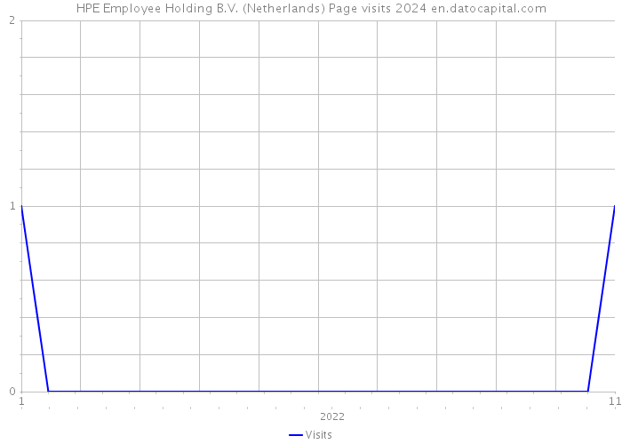 HPE Employee Holding B.V. (Netherlands) Page visits 2024 