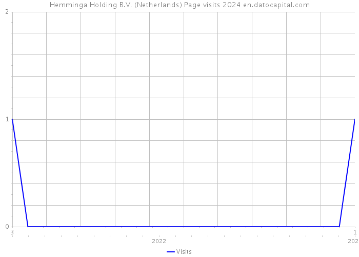 Hemminga Holding B.V. (Netherlands) Page visits 2024 